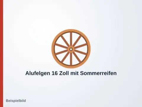 Alufelgen 16 Zoll mit Sommerreifen – Ford Focus