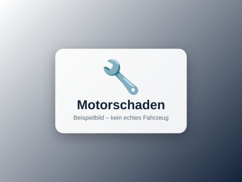 Mercedes Sprinter 316 CDI Hochdach – Injektoren defekt – Bild 2