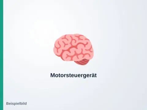 Motorsteuergerät – Fiat Panda 1.2