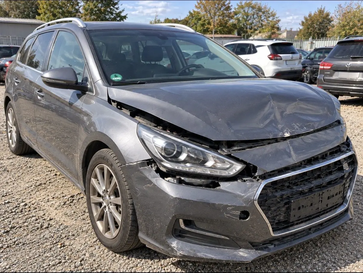 Wildunfall? Wir kaufen Ihr beschädigtes Auto – Raum Elsdorf – Bild 1